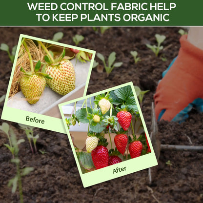 3ft x 300ft Weed Barrier, Landscape Fabric, Heavy-Duty, 2oz Weed Barrier Fabrics at Gallery Canada