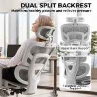 Ergonomic Office Chair, Mesh Reclining, Grey