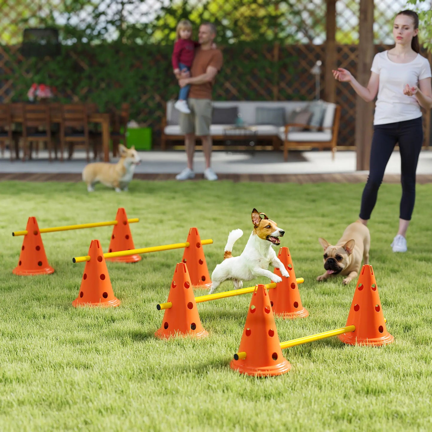 Dog Agility Hurdle Set, Adjustable Obstacle Course, 8 Cones 8 Poles, Orange Dog Agility Training Equipment at Gallery Canada