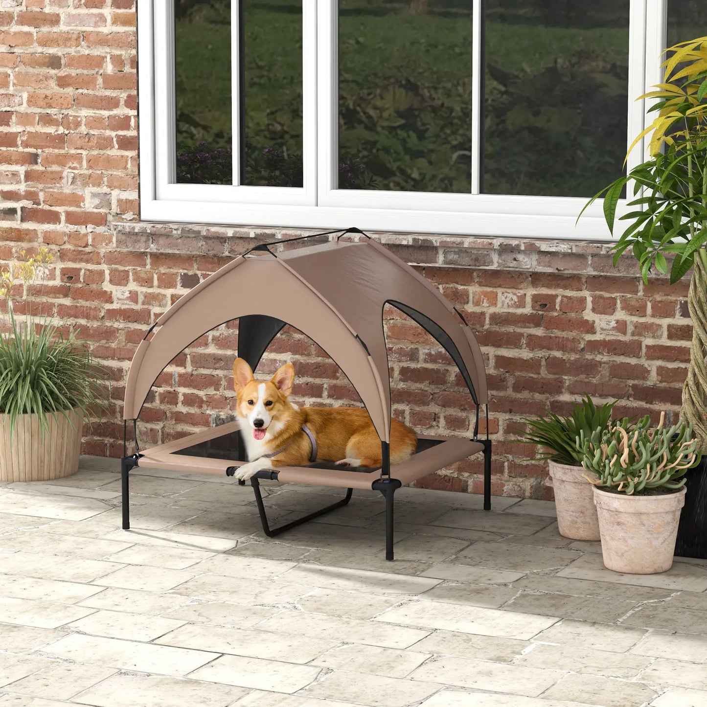 Raised Dog Bed, Cooling Cot with Canopy, Washable Mesh, Medium Large, Coffee Elevated Dog Beds at Gallery Canada