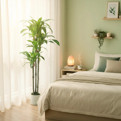 5FT Artificial Dracaena Plant, Bendable Trunks, Green Artificial Trees at Gallery Canada