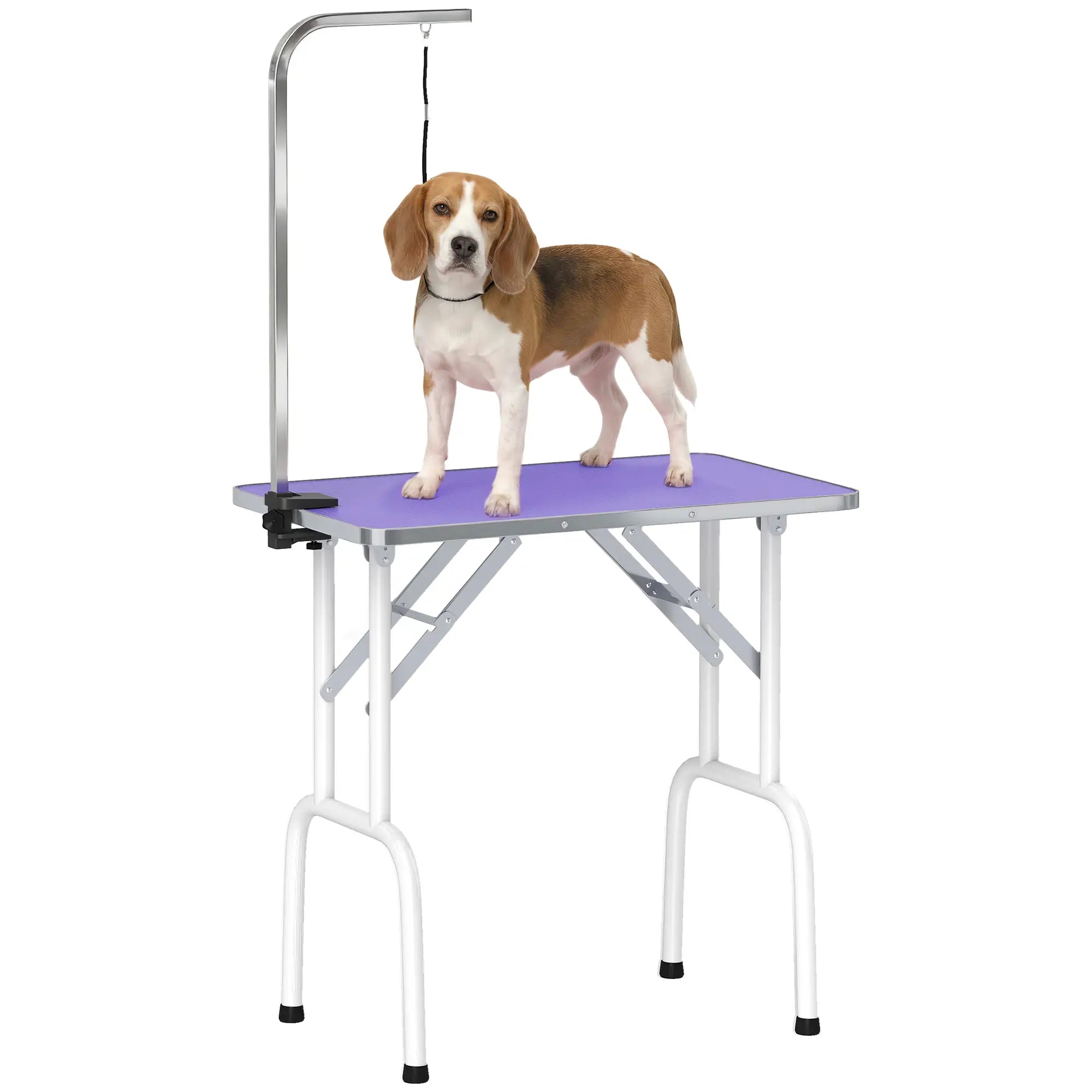 Foldable Pet Grooming Table, Adjustable Arm, Non-Slip, Purple Dog Grooming Tables at Gallery Canada