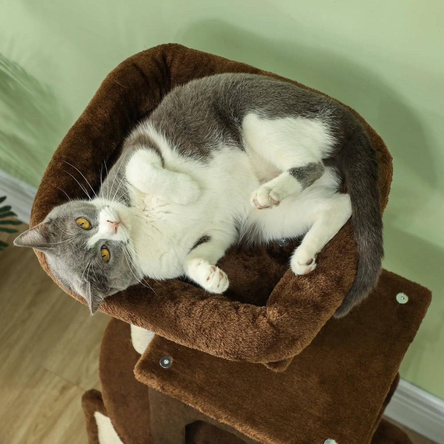 41" Cat Tree with Scratching Posts, Bed, Condo & Toys Multi-Level Cat Towers at Gallery Canada