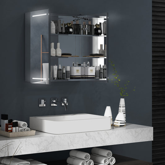 Illuminated Medicine Cabinet with Mirror, LED Vanity Mirror Cabinet with Defogging Film, Stainless Steel Frame - Gallery Canada