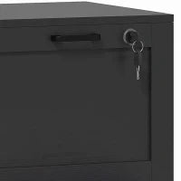 Vertical Filing Cabinet, 2 Drawers, Lock, A4 Letter, Black