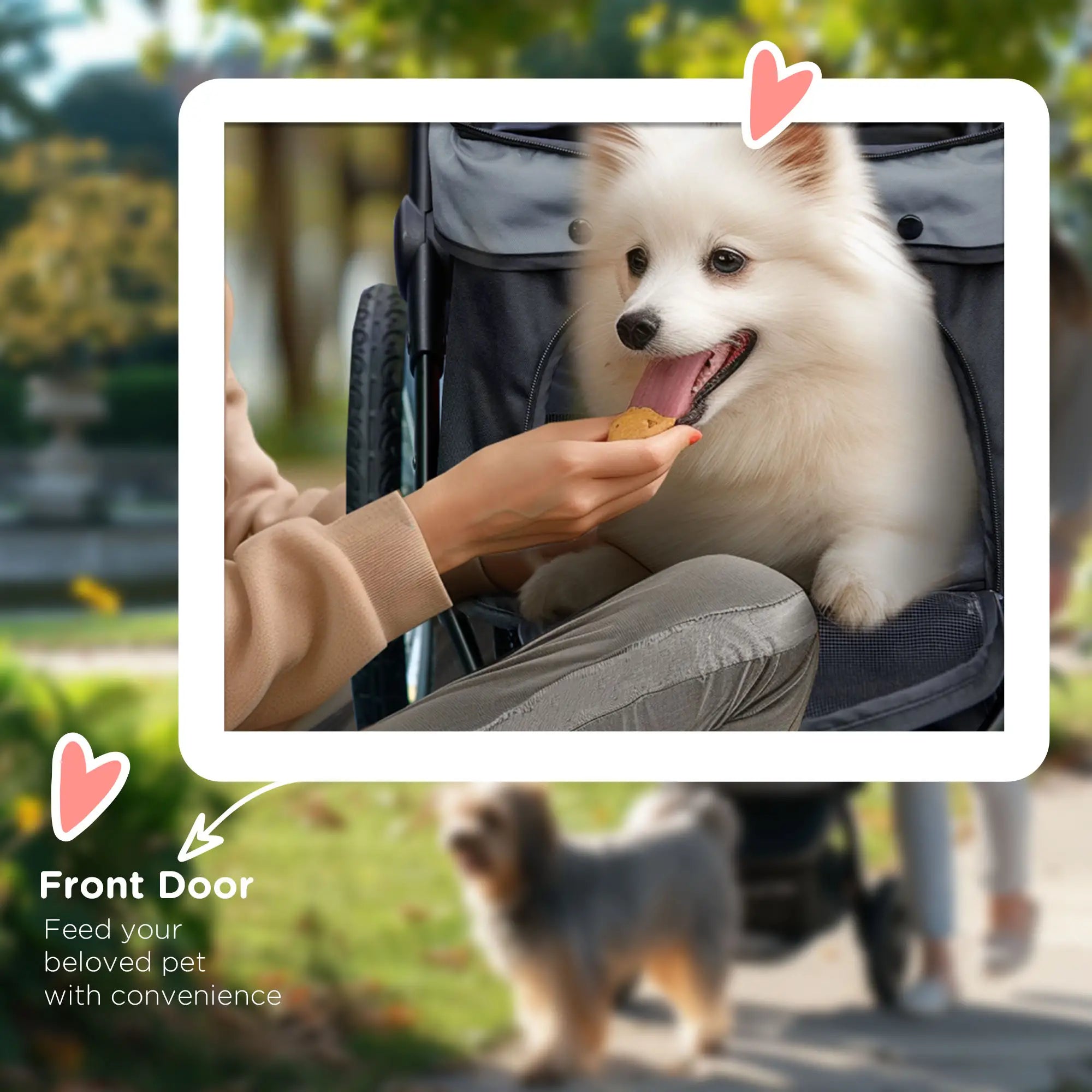 3 Big Wheels Pet Stroller, Small Medium Dogs, Cats, Folding Carrier, Adjustable Canopy, Black Dog Bike Trailers & Strollers at Gallery Canada