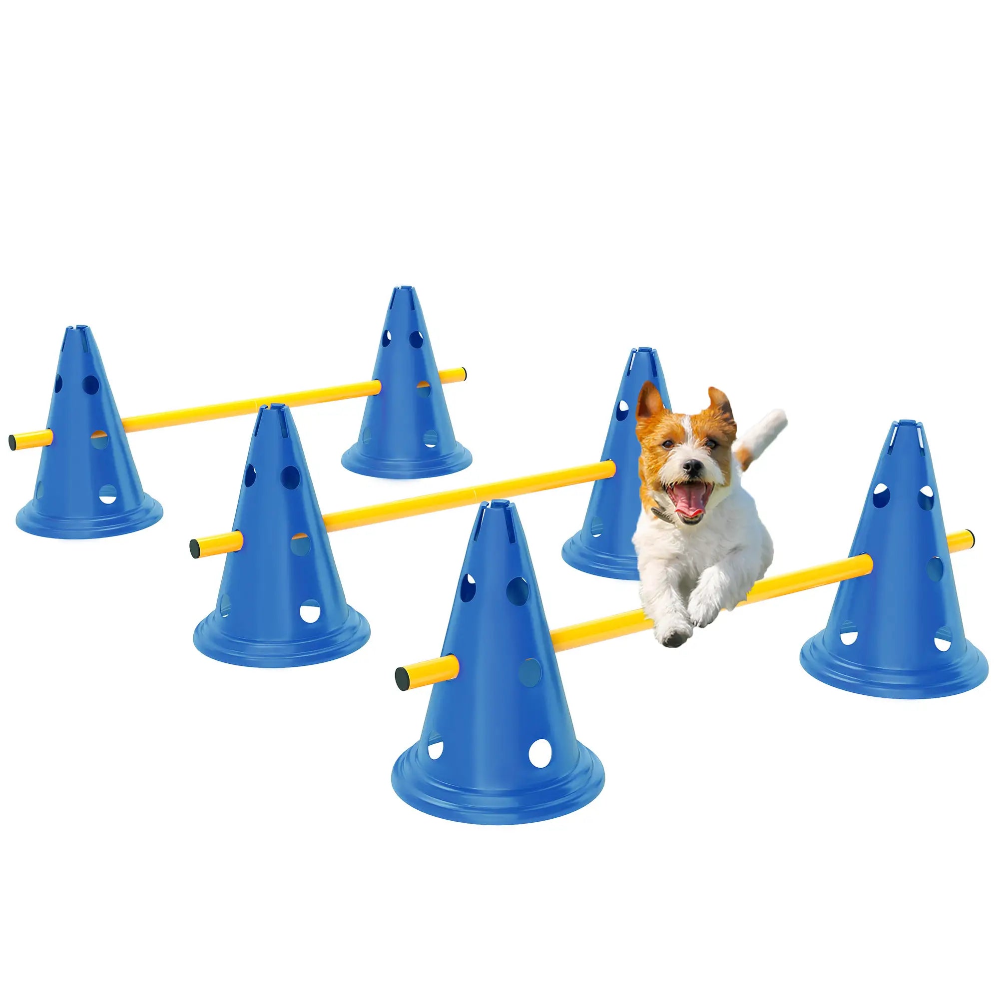 Dog Agility Hurdle Cone Set, Adjustable Obstacle Course, 6 Cones & Poles, Blue Dog Agility Training Equipment at Gallery Canada