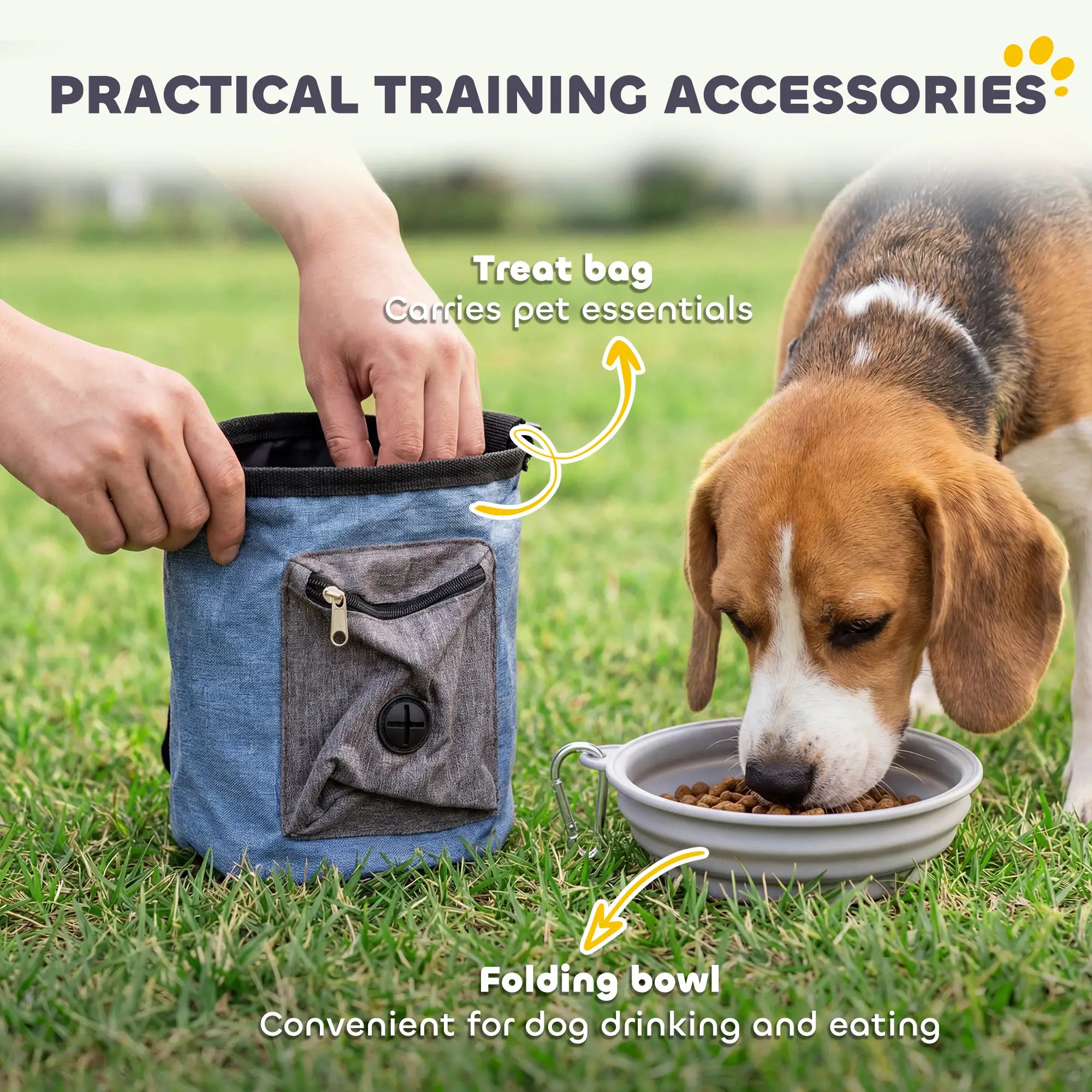 11-Piece Dog Agility Training Set, 2 Tunnels, Adjustable Jumps, Orange Blue Dog Agility Training Equipment at Gallery Canada