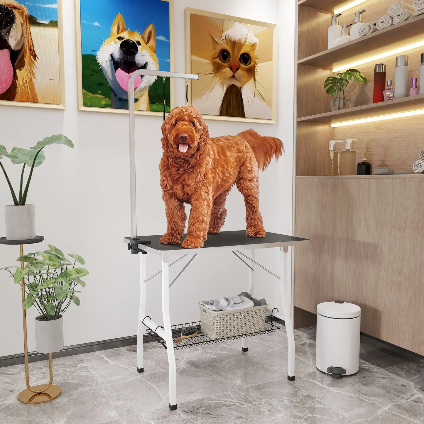 Dog Grooming Table, Adjustable Arm, Mesh Tray, 35" x 24" x 61", Black Dog Grooming Tables at Gallery Canada