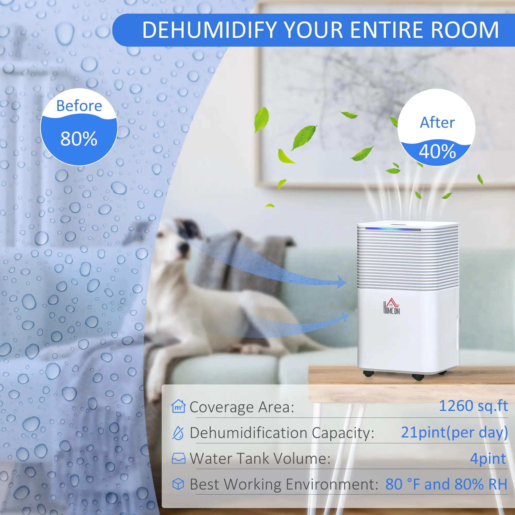 1260 sq.Ft Portable Quiet Dehumidifier, 21pt Electric Air De-Humidifier, 3 Modes Home Dehumidifiers at Gallery Canada