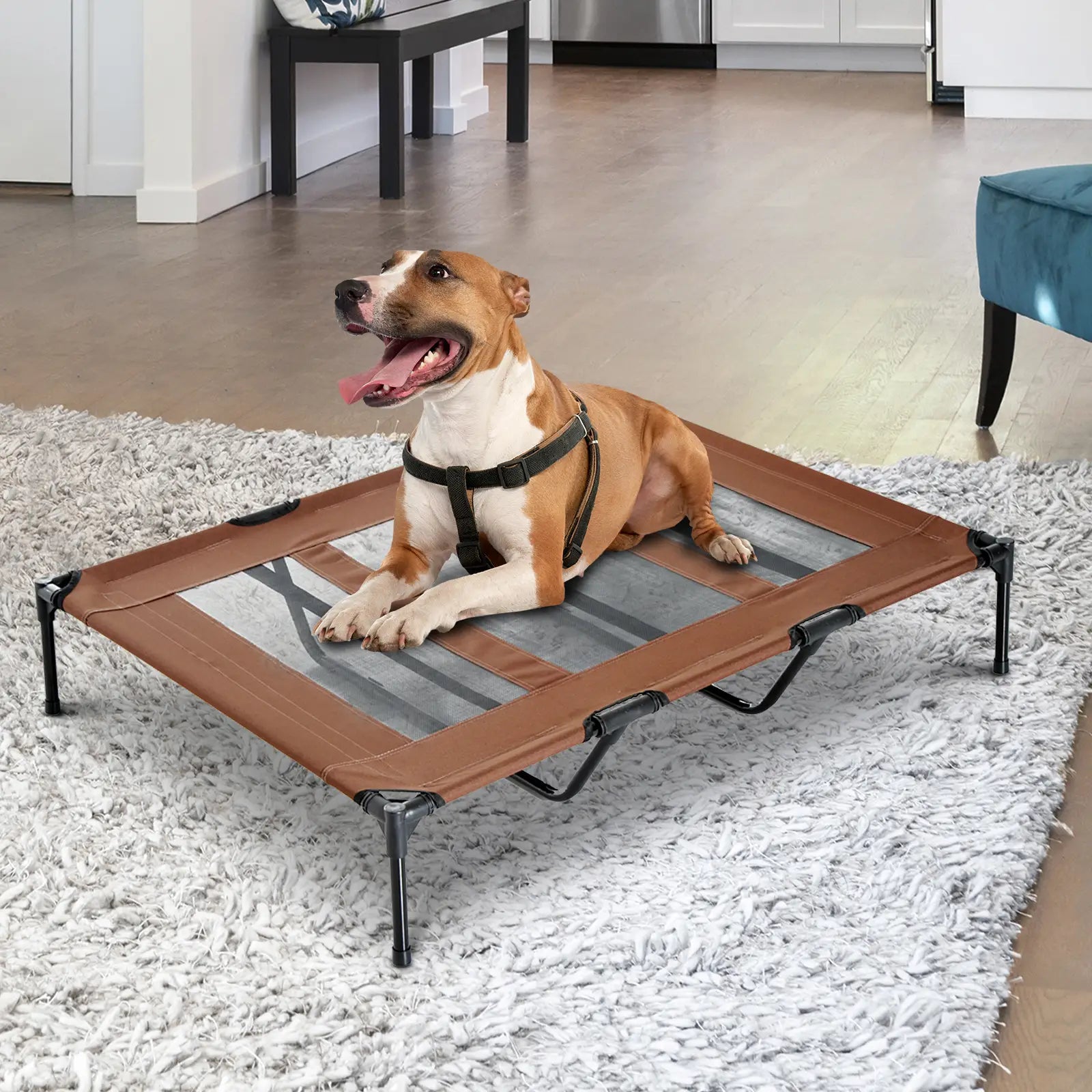 Elevated Dog Bed, XL Dog Cot, 48