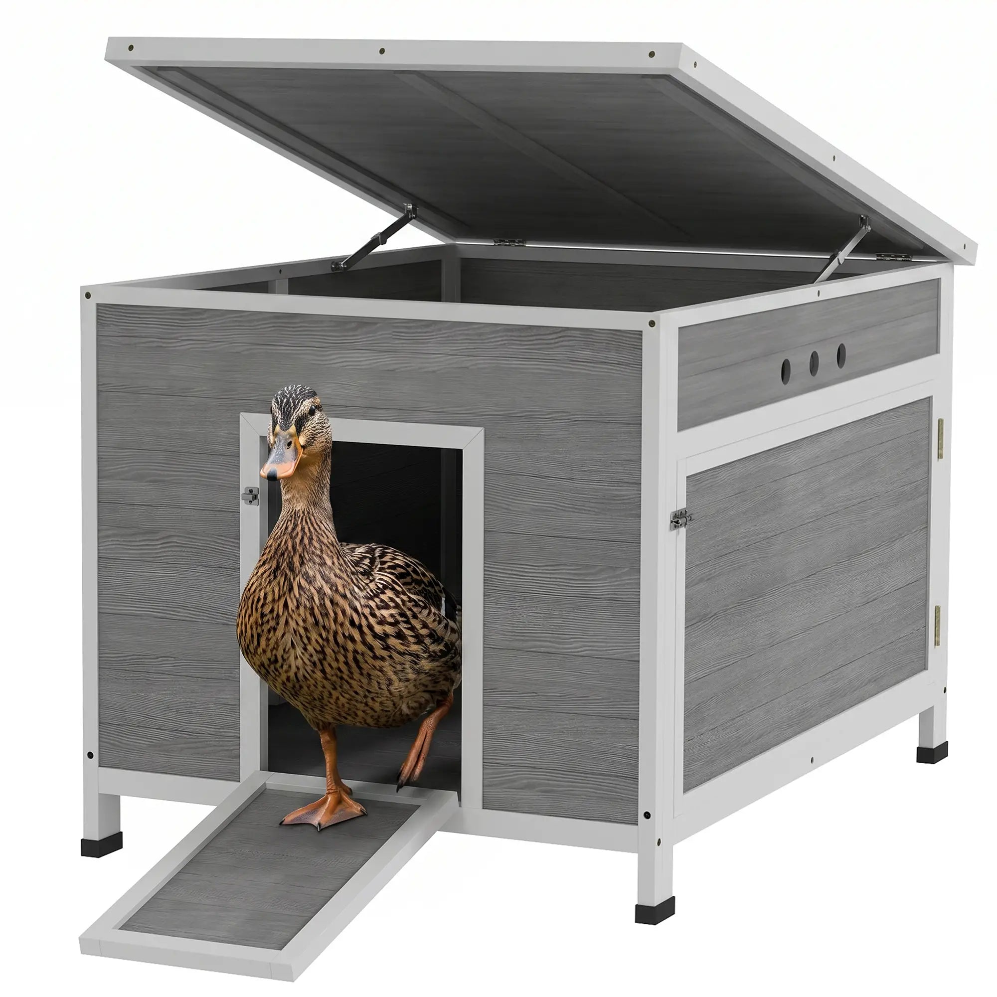 Wooden Duck Coop, Rabbit Hutch With Openable Roof, Removable Floor, Grey Chicken Coops at Gallery Canada