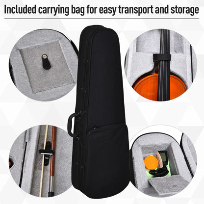 4/4 Violin, Maple Wood, Full Accessories Set, Storage Box, Orange Electronic Musical Pianos at Gallery Canada