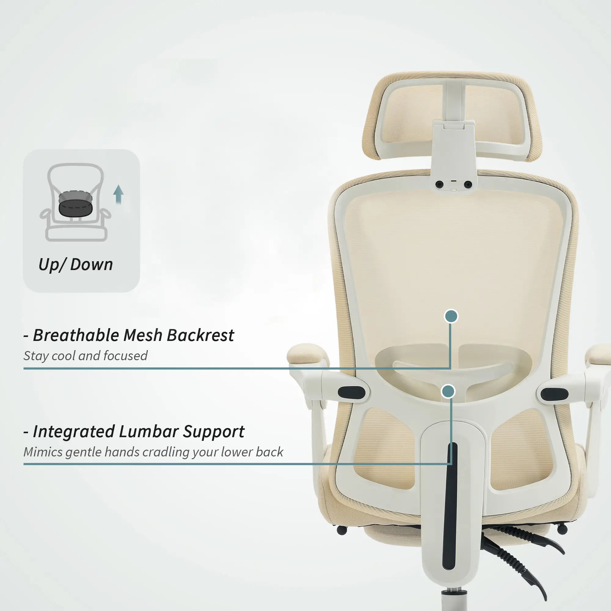 Ergonomic Office Chair, Mesh Reclining Desk Chair, Adjustable Lumbar Support, Headrest, Beige Office Chairs at Gallery Canada
