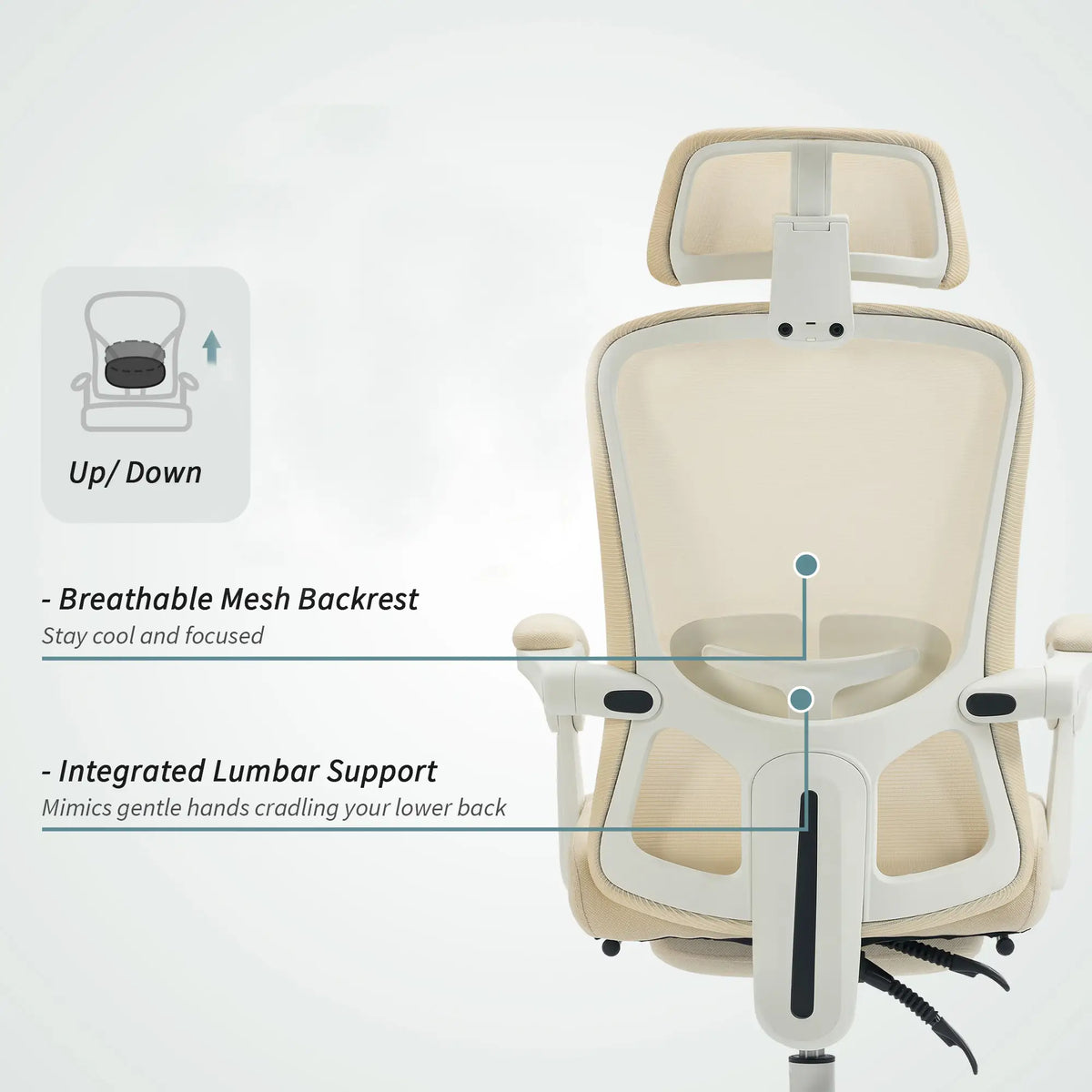 Ergonomic Office Chair, Mesh Reclining Desk Chair, Adjustable Lumbar Support, Headrest, Beige Office Chairs at Gallery Canada