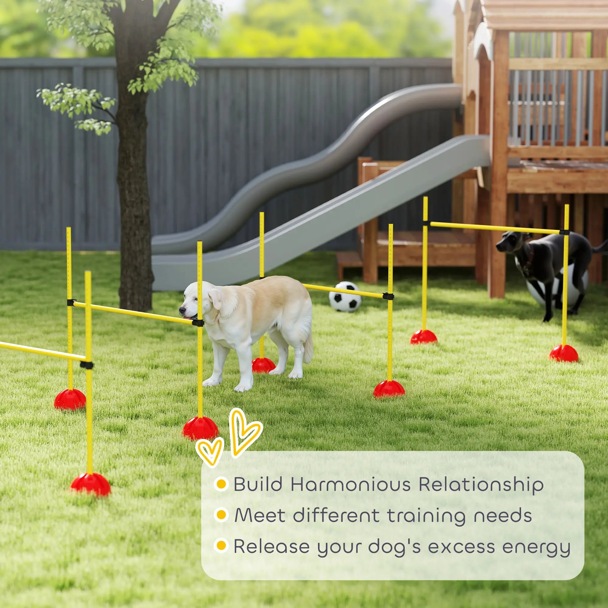 Dog Agility Training Equipment, 4 Pcs Obstacle Course, Yellow Dog Agility Training Equipment at Gallery Canada