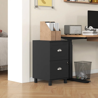 2-Drawer Small Filing Cabinet, Lockable, Adjustable Hanging Bars, Black Office Cabinets & Cupboards at Gallery Canada
