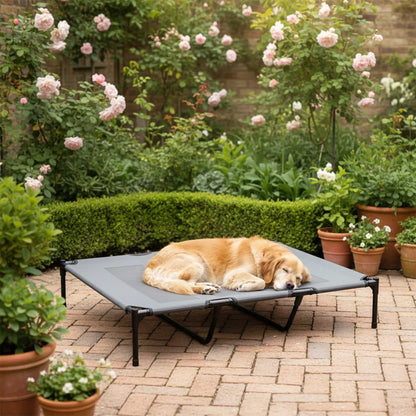 Elevated Dog Bed, XL Dog Cot, 48" x 36" x 9", Light Grey Elevated Dog Beds at Gallery Canada