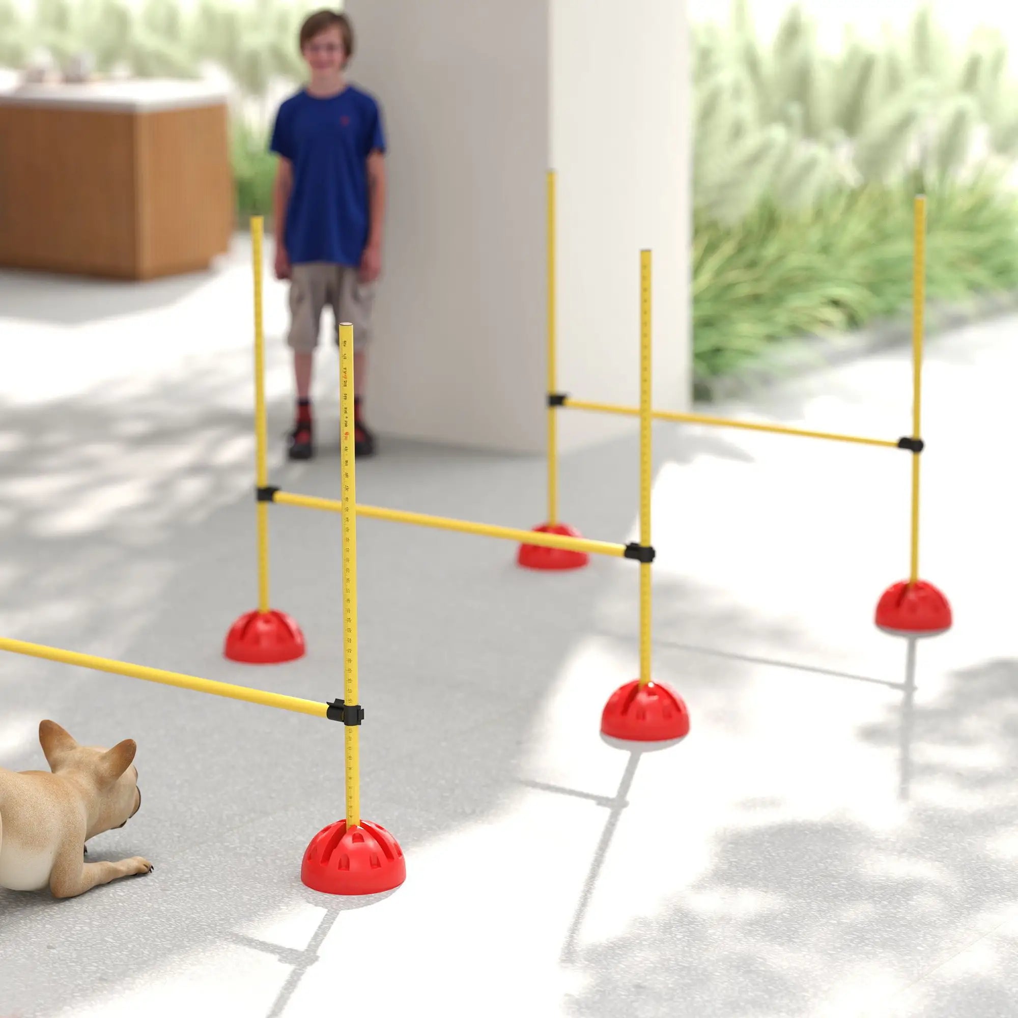 Dog Agility Training Equipment, 4 Pcs Obstacle Course, Yellow Dog Agility Training Equipment at Gallery Canada