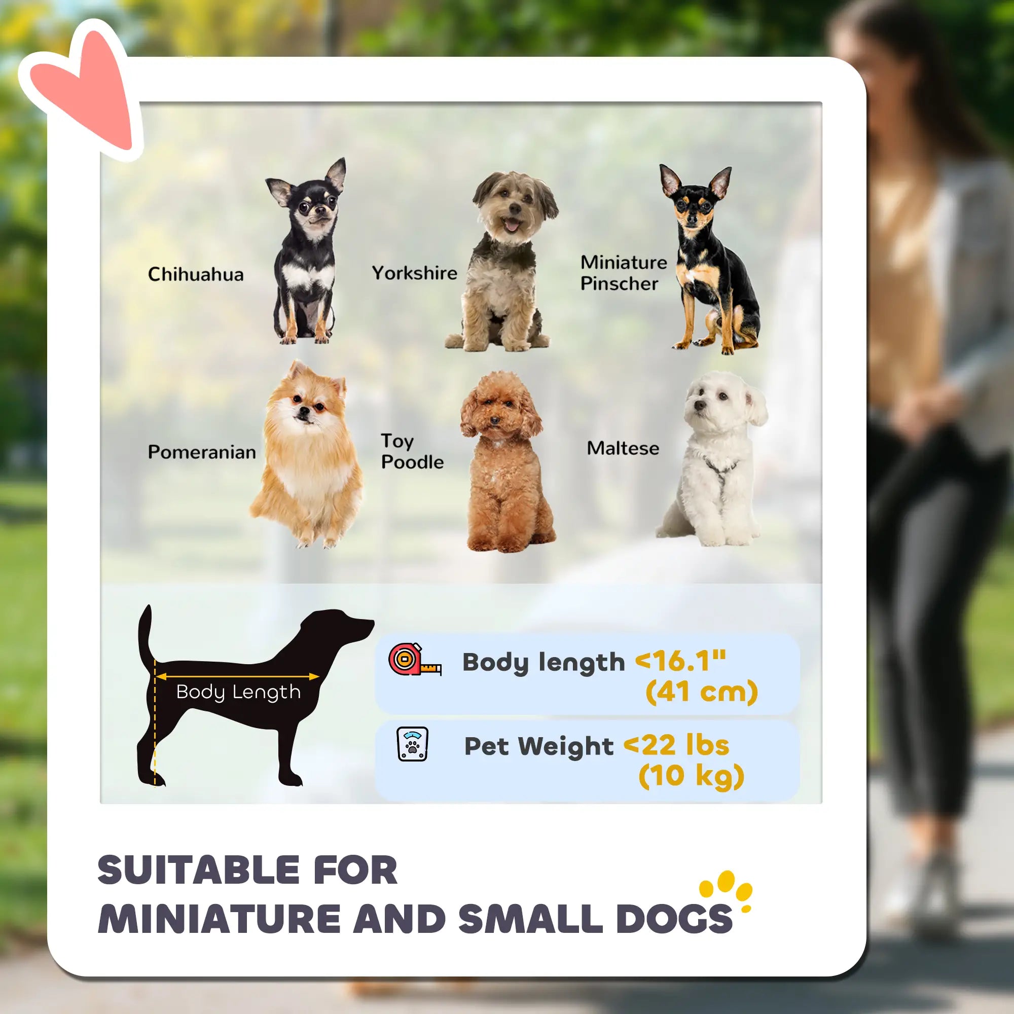 3 Wheel Folding Dog Stroller, Adjustable Canopy, Storage Brake, Mesh Window, for S&M Dogs, Grey Dog Bike Trailers & Strollers at Gallery Canada