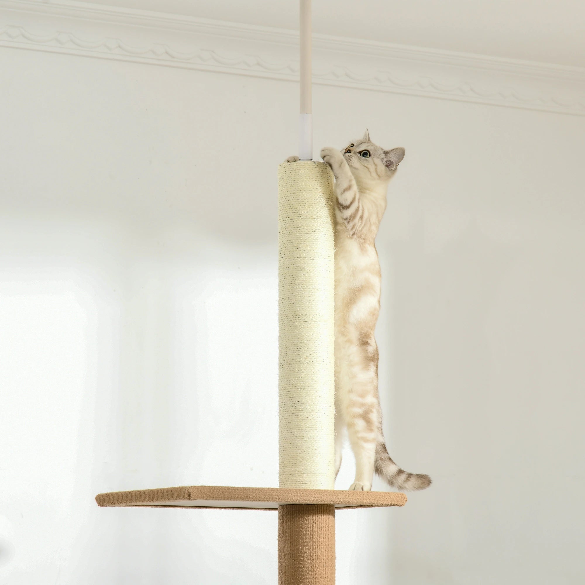 100 Floor To Ceiling Cat Tree, 3 Perches Activity Center, Brown Floor to Ceiling Cat Trees at Gallery Canada