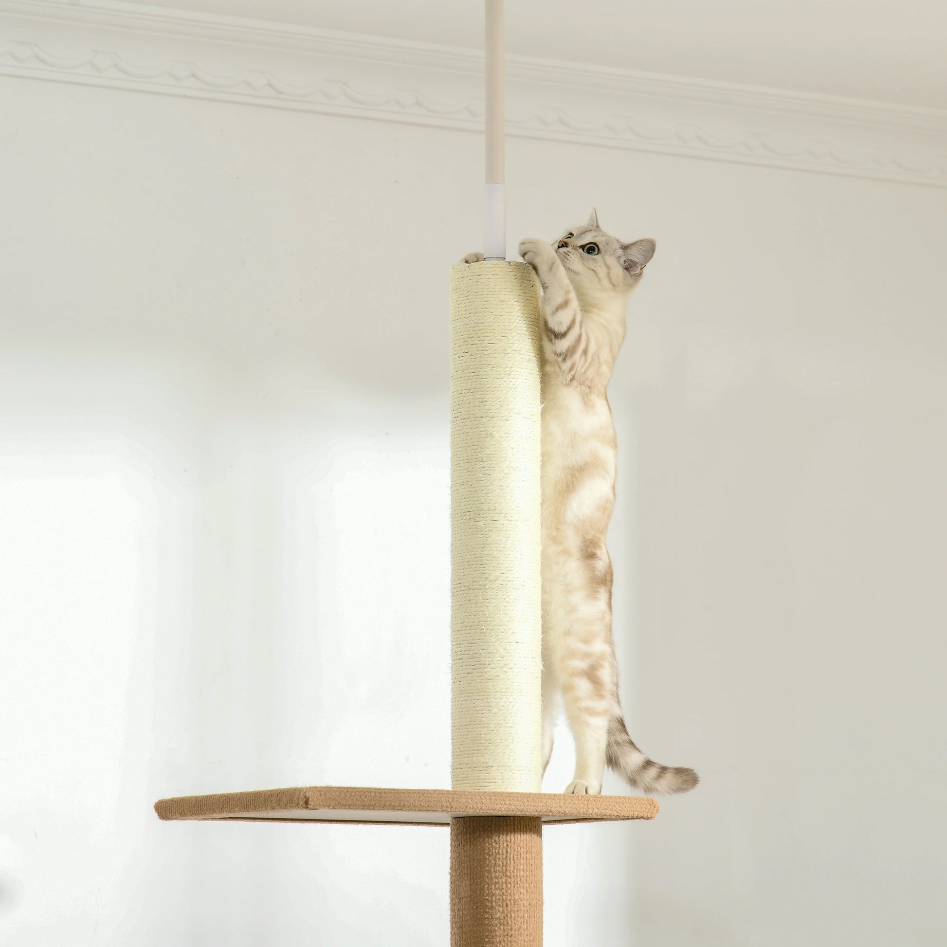 100 Floor To Ceiling Cat Tree, 3 Perches Activity Center, Brown Floor to Ceiling Cat Trees at Gallery Canada