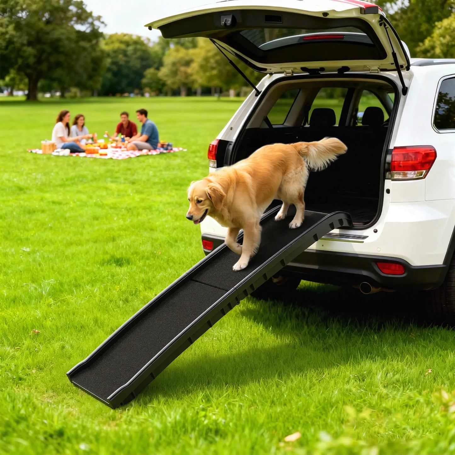 61 Inches Folding Pet Ramp, Frosted Surface, Raised Side Rails Dog Stairs at Gallery Canada