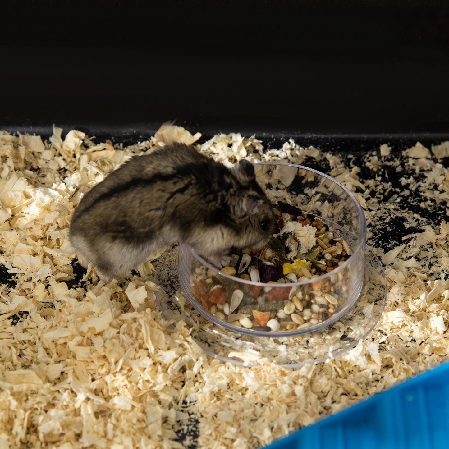 31" Large Hamster Cage, Small Animal House, Tunnel Tube System, Black Hamster Cages at Gallery Canada