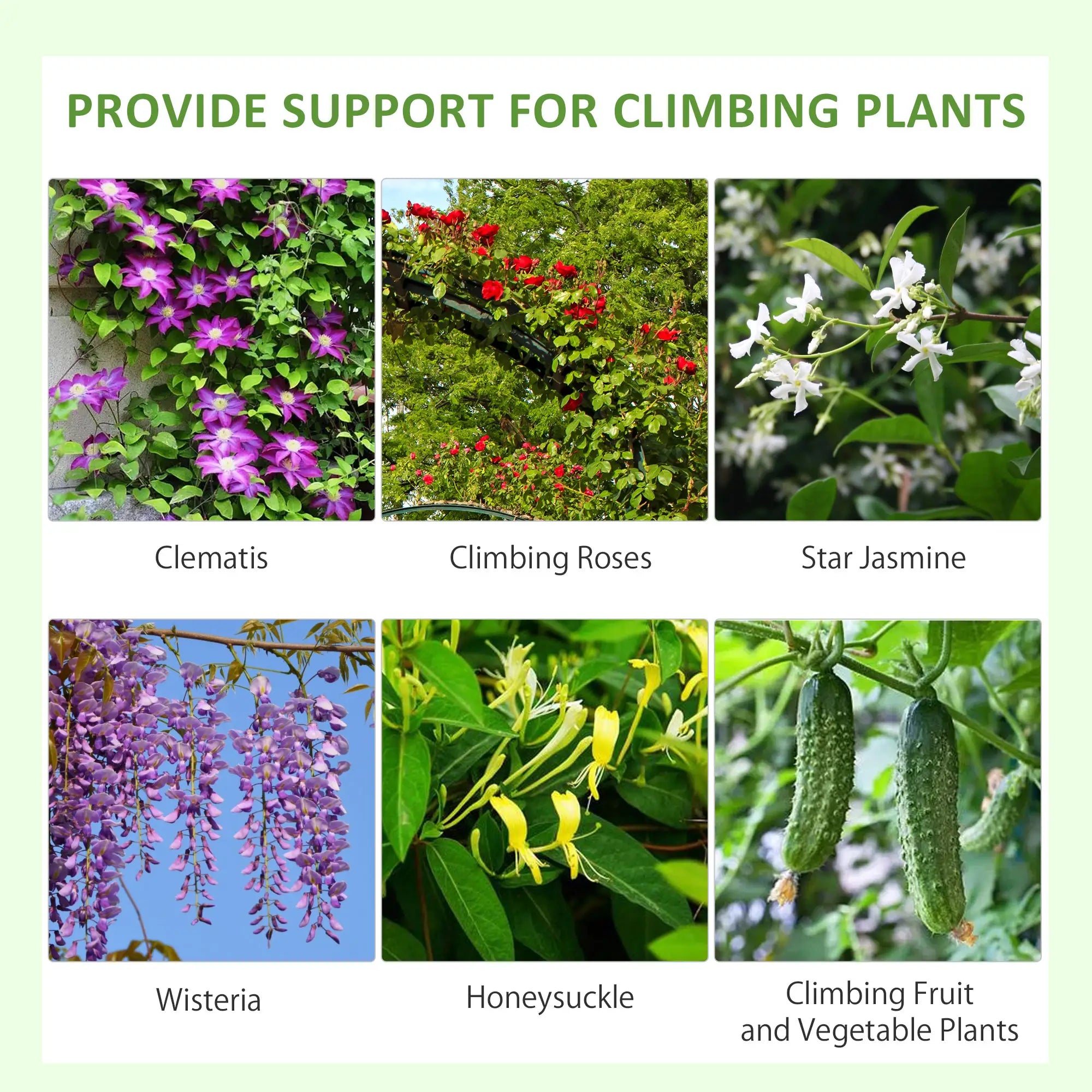 2 Pcs Metal Garden Trellis, Outdoor Plant Support, Patio Lawn Backyard Plant Stands at Gallery Canada