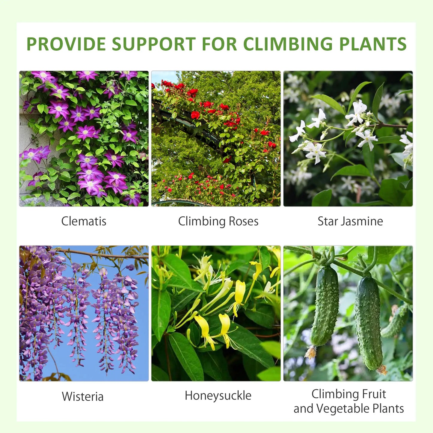 2 Pcs Metal Garden Trellis, Outdoor Plant Support for Climbing Plants Plant Stands at Gallery Canada