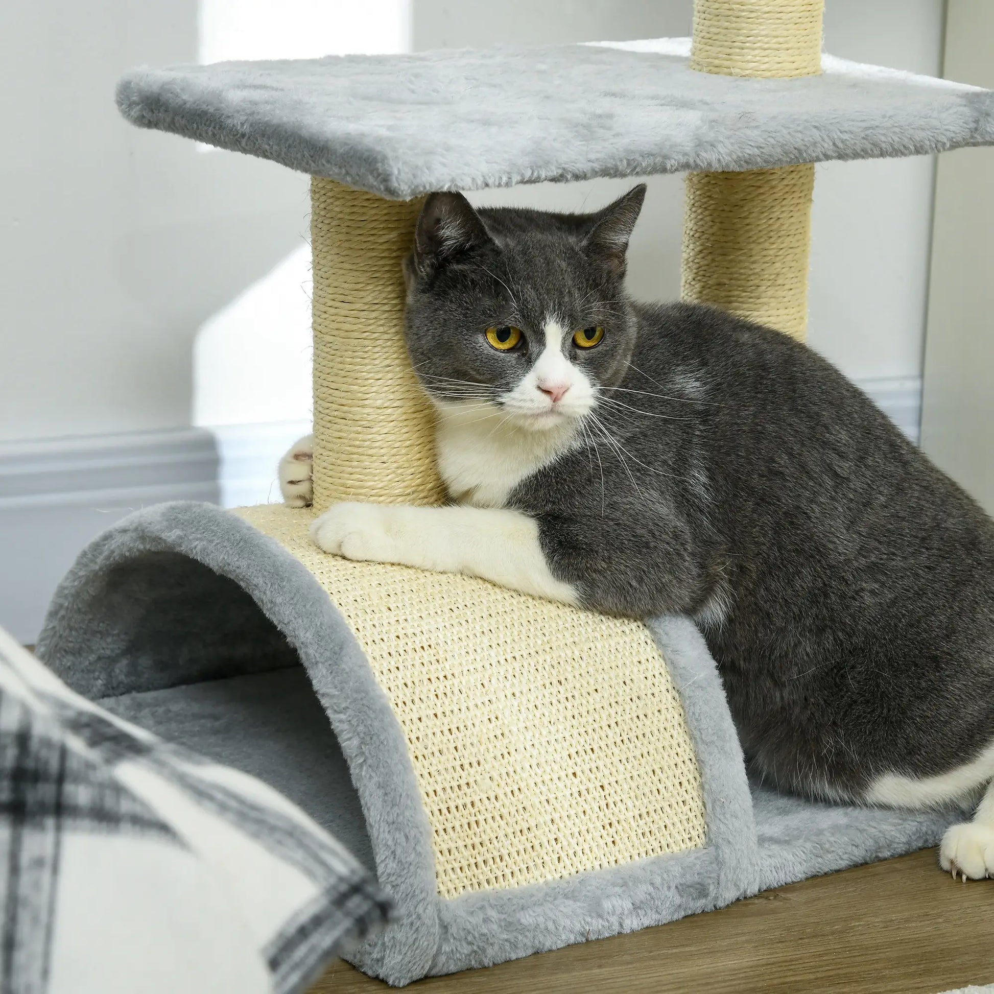28" Cat Tree, Scratching Post, Pad, Toy Ball, Light Grey Cat Posts at Gallery Canada