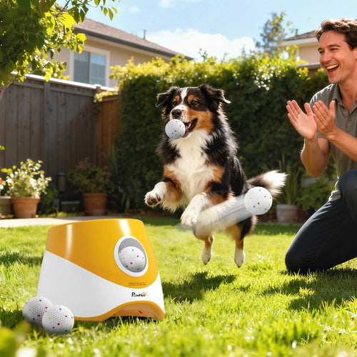 Automatic Dog Ball Launcher With 5 Etpu Balls, Orange