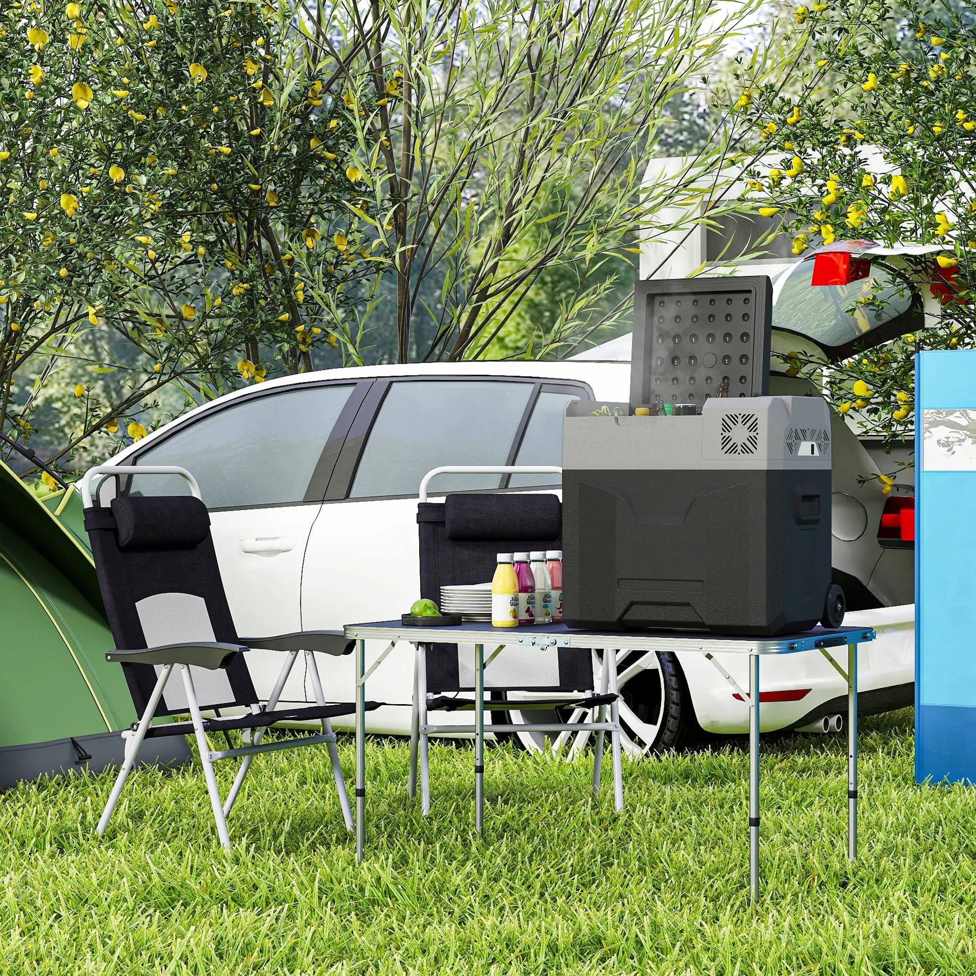 50L Portable Car Refrigerator, 12/24V Electric Cooler, -20℃, Camping, Travel Car Coolers at Gallery Canada