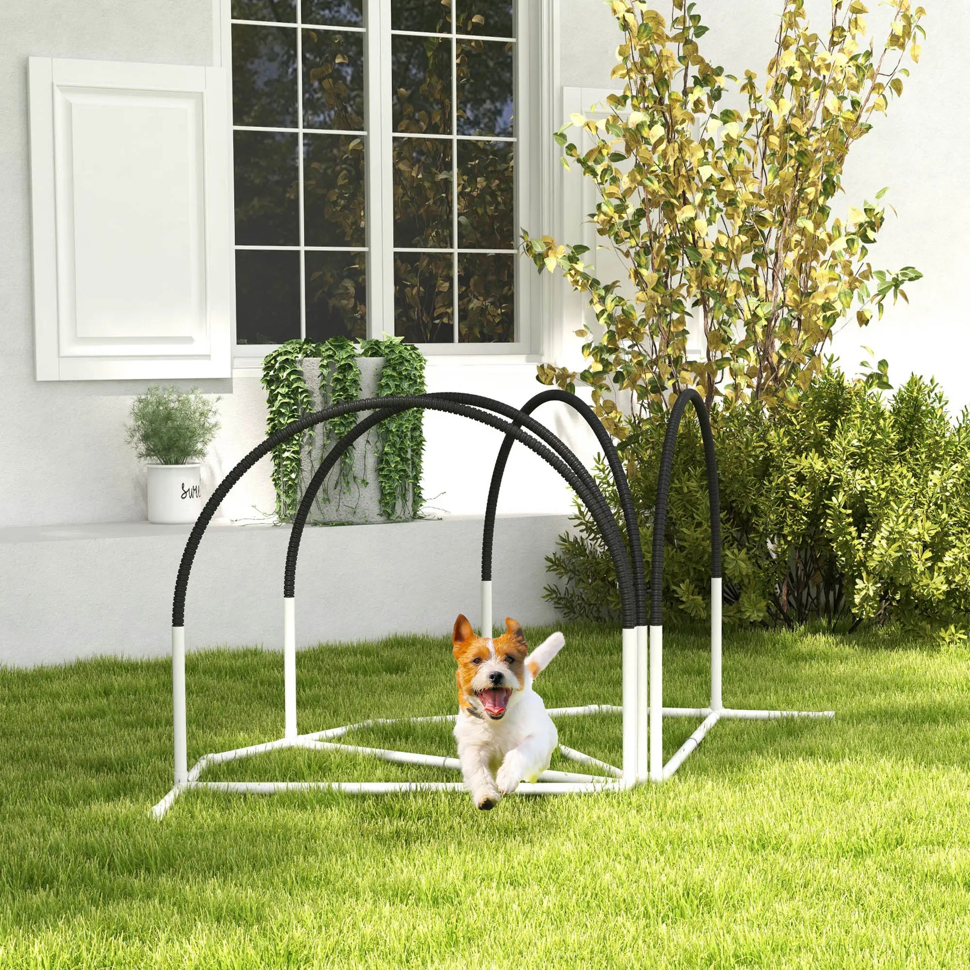Dog Agility Kit, Obstacle Course Training Equipment, Weave Poles, Carry Bag, Black Dog Agility Training Equipment at Gallery Canada