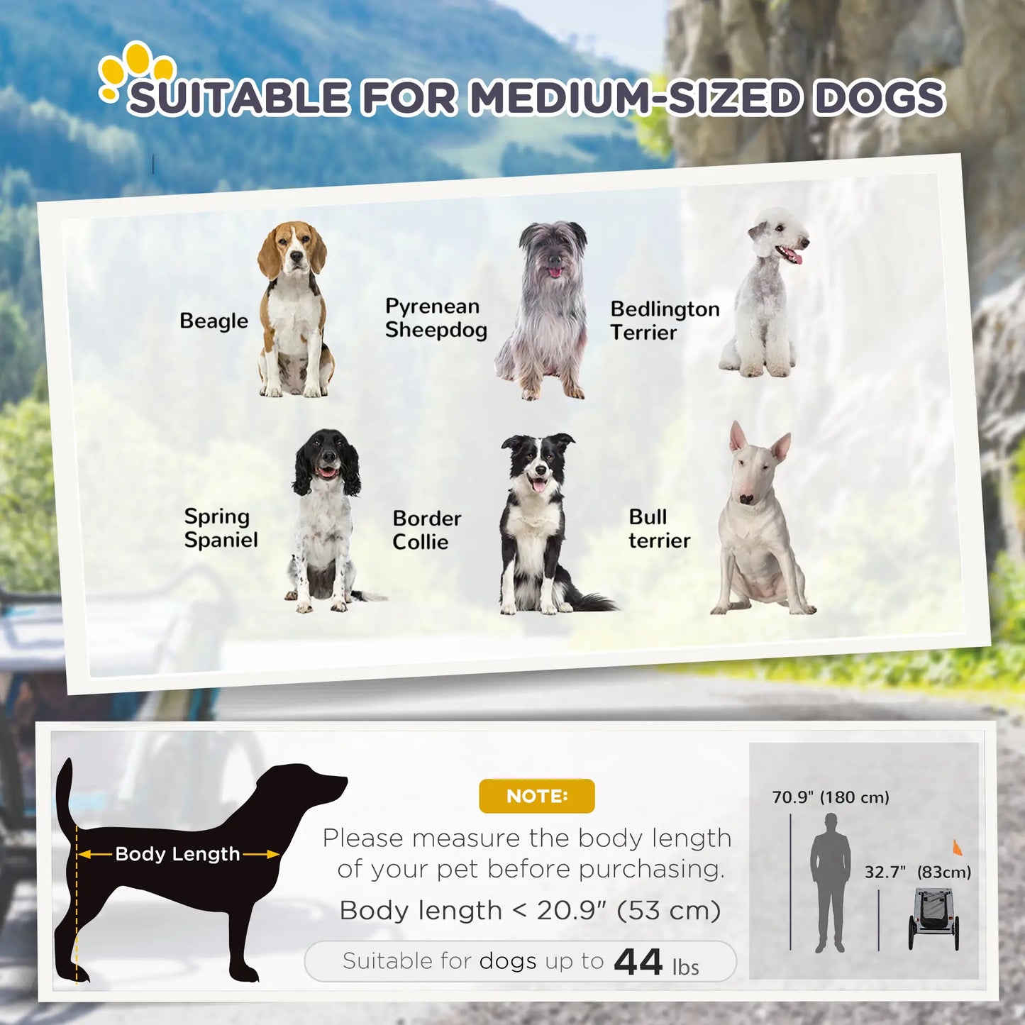 Dog Bike Trailer, Hitch Coupler, Quick Release Wheels, Medium, Black Dog Bike Trailers & Strollers at Gallery Canada