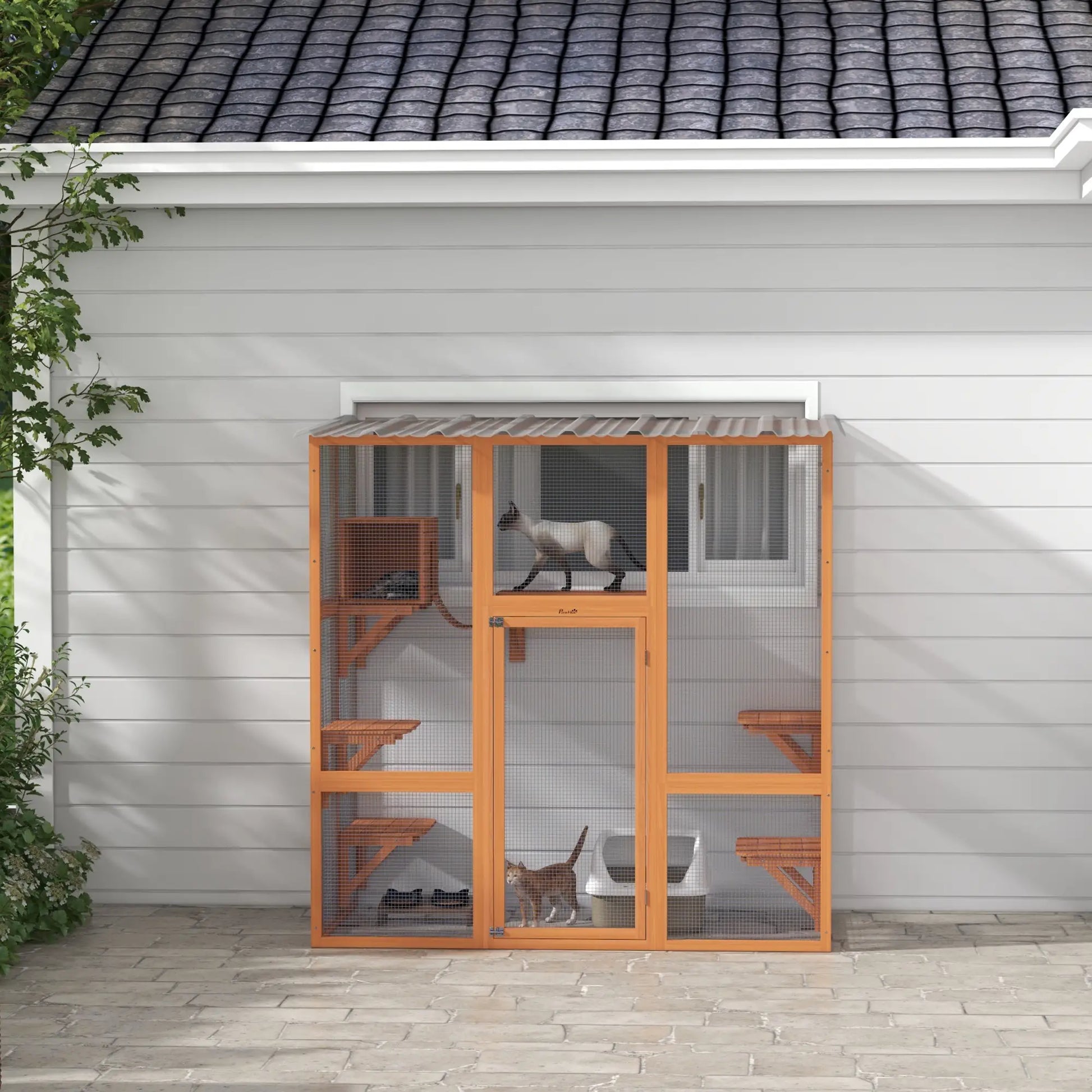Outdoor Cat Enclosure, Window Box, Weatherproof Roof, Bridge, Resting Box, Platforms, for 2 Kittens, Orange Outdoor Cat Enclosures at Gallery Canada