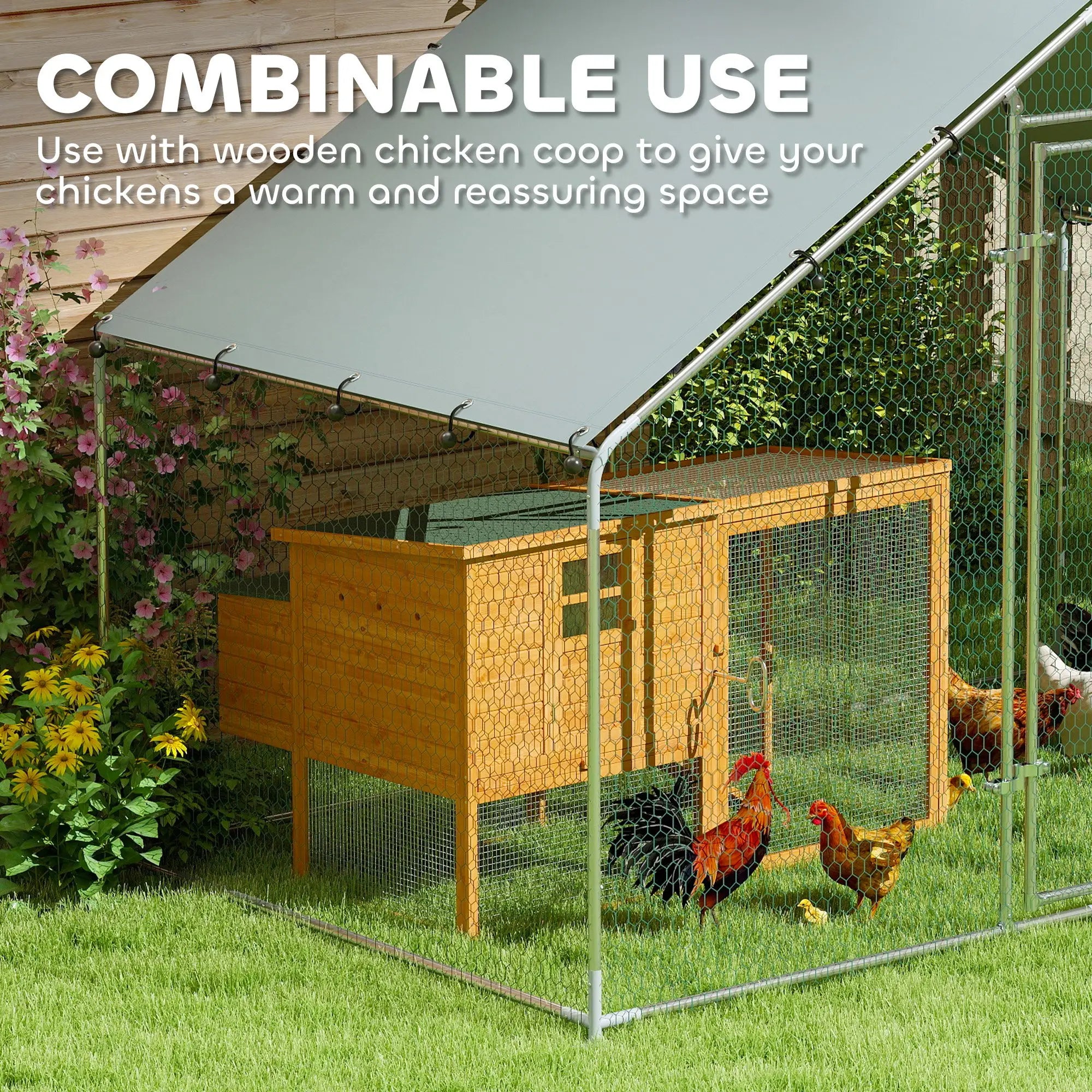 Metal Chicken Coop, 9.8 x 5.6 FT, Walk-In Run With Cover, Lockable Door Chicken Coops at Gallery Canada