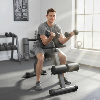 Hyperextension Bench, Height Adjustable, 38" x 26.8" x 27.2-43.3", Silver Tone Strength Training Equipment at Gallery Canada