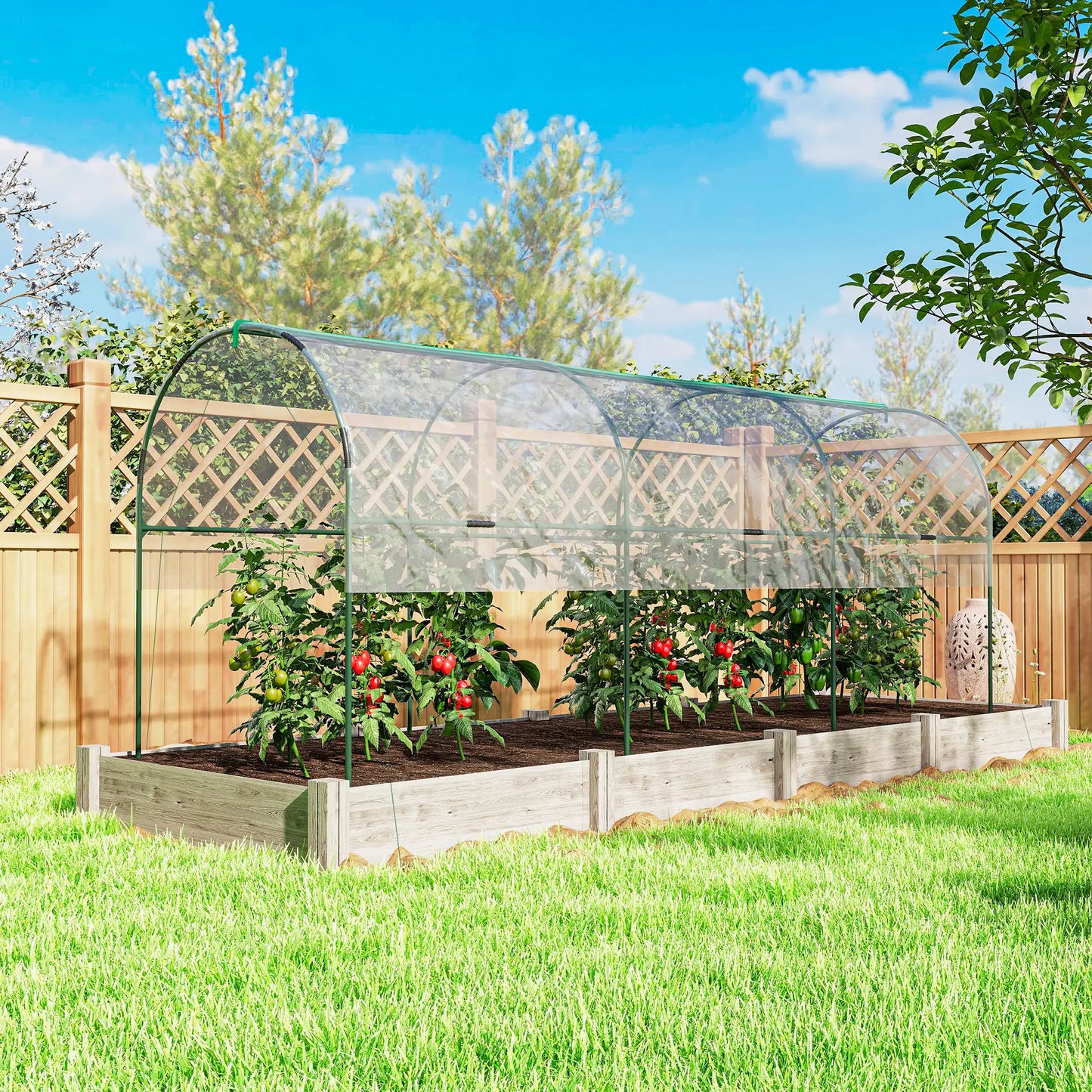 Tomato Greenhouse Tunnel, 4 Hoops, Top Tap, 157.5" x 48.4" x 67.3", Clear Tunnel Greenhouses at Gallery Canada