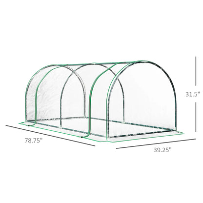 6' x 3' x 2.6' Mini Greenhouse, Portable, Zippered Doors, Clear Mini Greenhouses at Gallery Canada