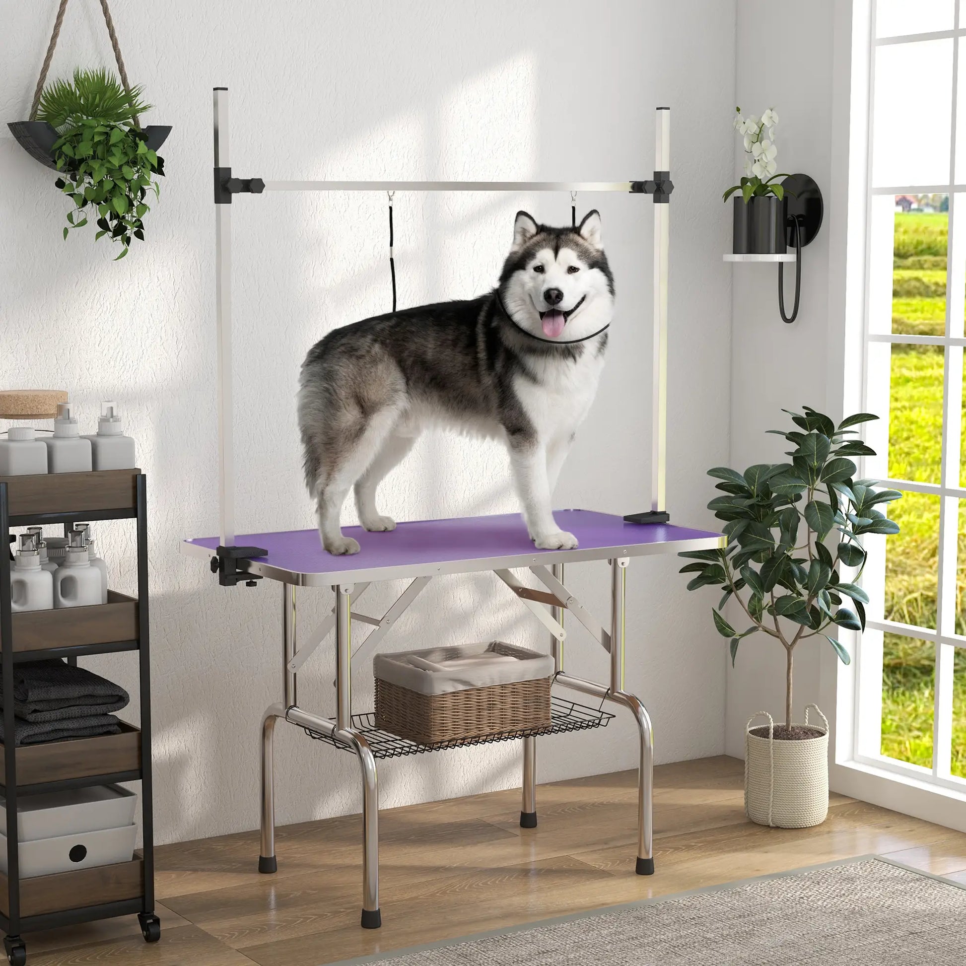 Adjustable Dog Grooming Table, 2 Safety Slings, Storage Basket, Purple Dog Grooming Tables at Gallery Canada