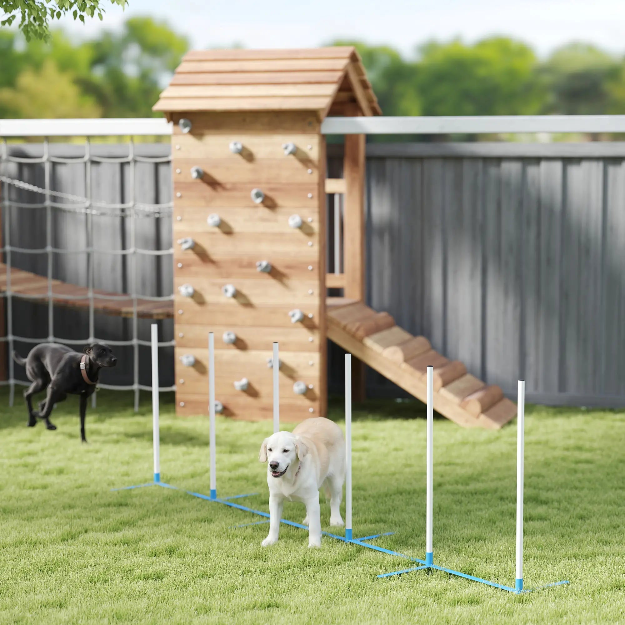 Adjustable Dog Agility Training Set, Weave Poles, Storage Bag, Blue and White Dog Agility Training Equipment at Gallery Canada