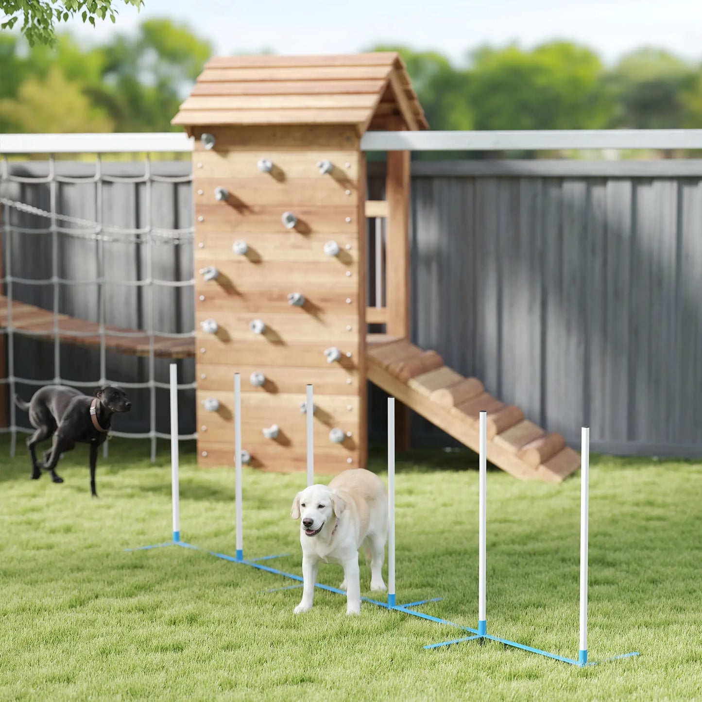 Adjustable Dog Agility Training Set, Weave Poles, Storage Bag, Blue and White Dog Agility Training Equipment at Gallery Canada