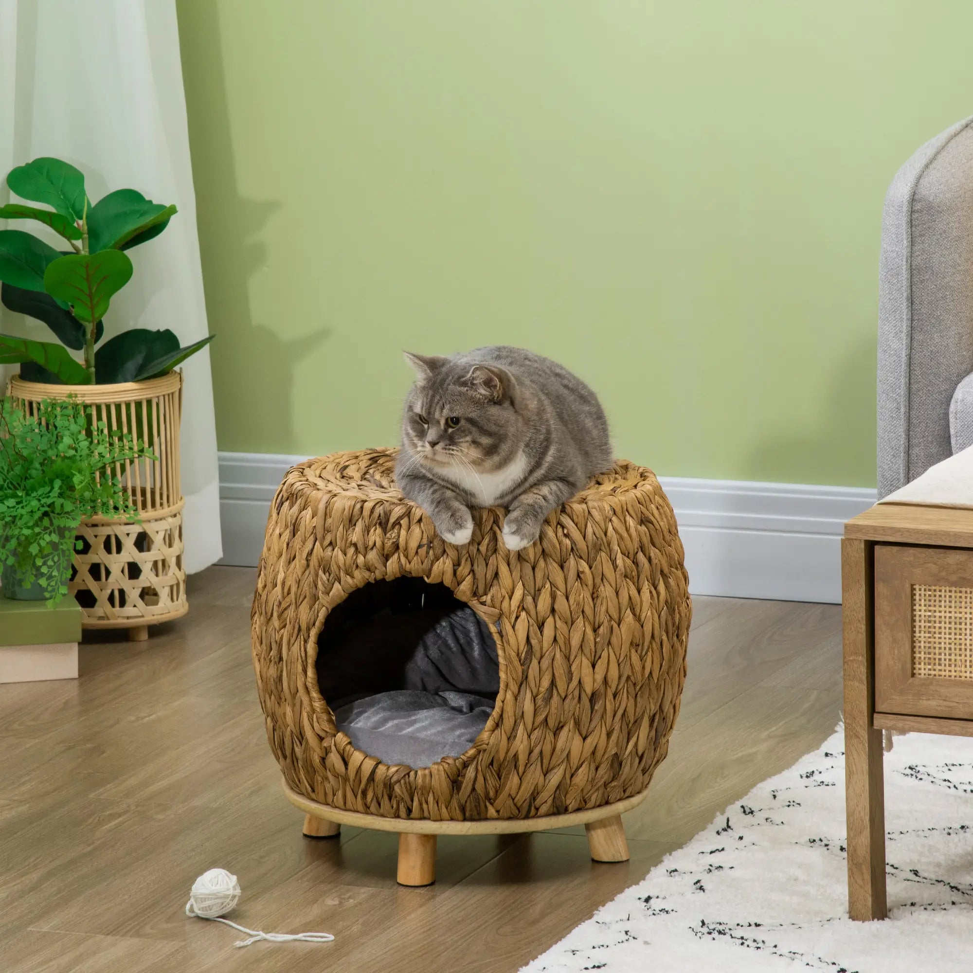 Wicker Cat Bed, Washable Cushion, Rattan Kitten Bed, Light Brown Cat Houses at Gallery Canada