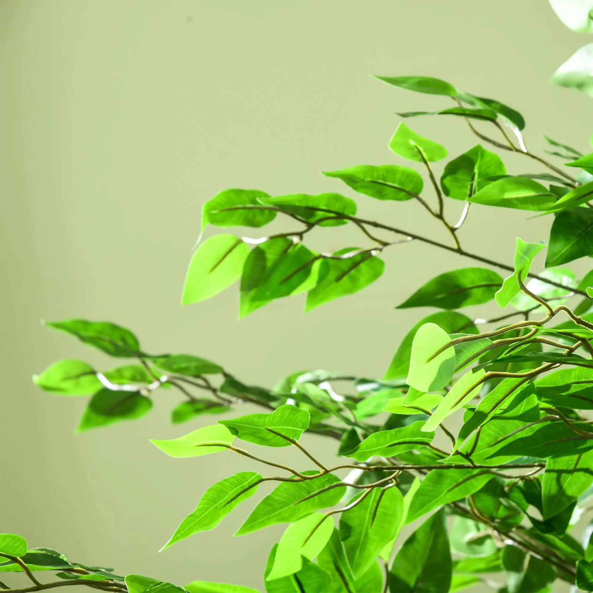 6ft Artificial Ficus Tree, Indoor Fake Plant with Pot Artificial Trees at Gallery Canada