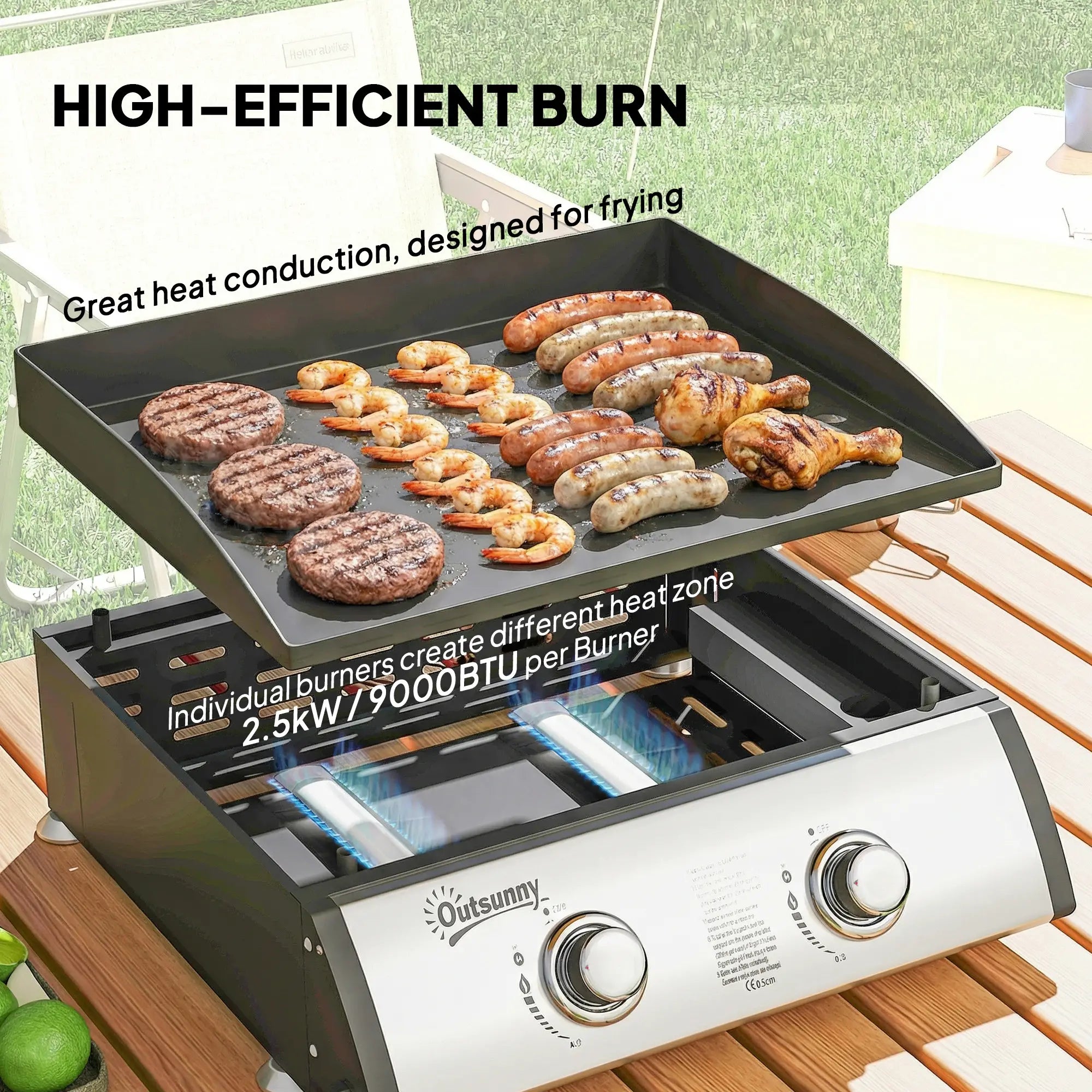 2 Burner Gas Grill, Portable Tabletop BBQ, Camping Picnic, Silver Propane Gas Grills at Gallery Canada