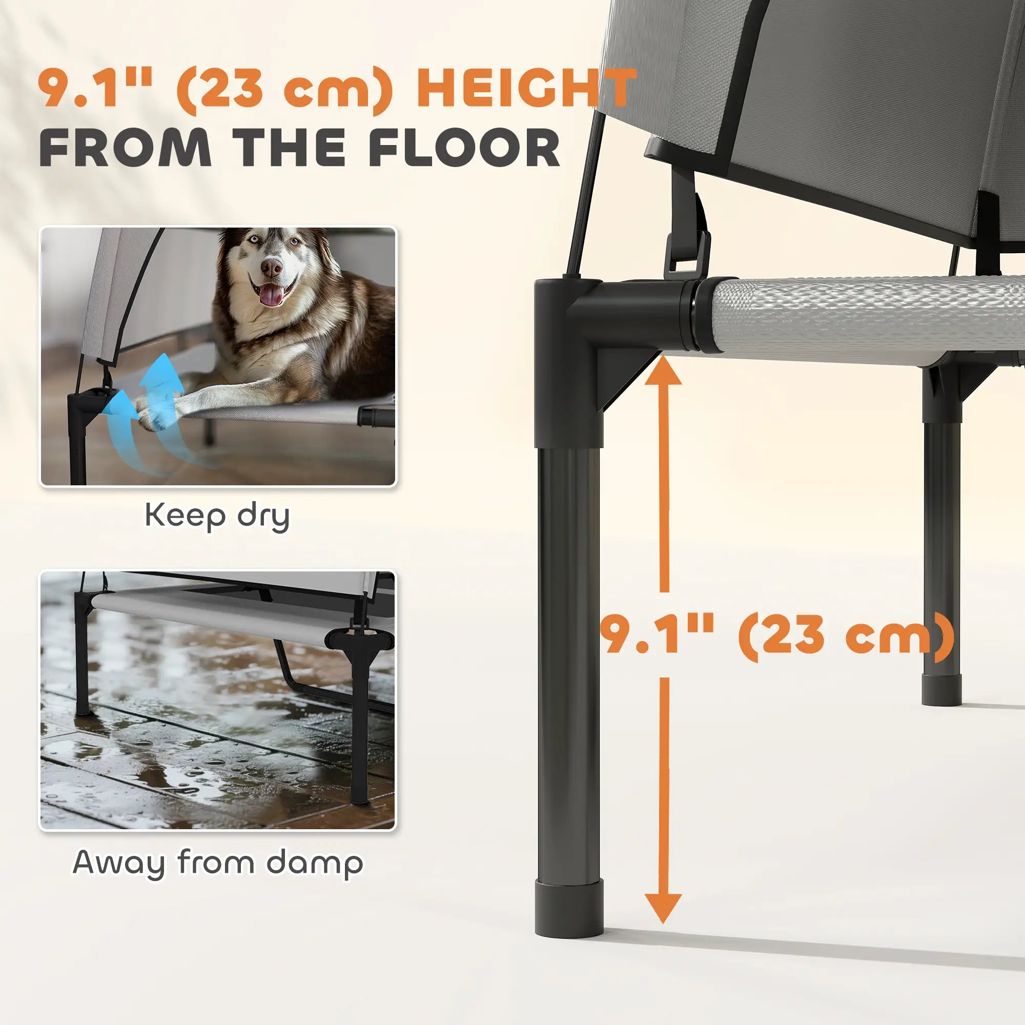 Elevated Dog Bed With Removable Canopy, Portable Pet Cot, 48