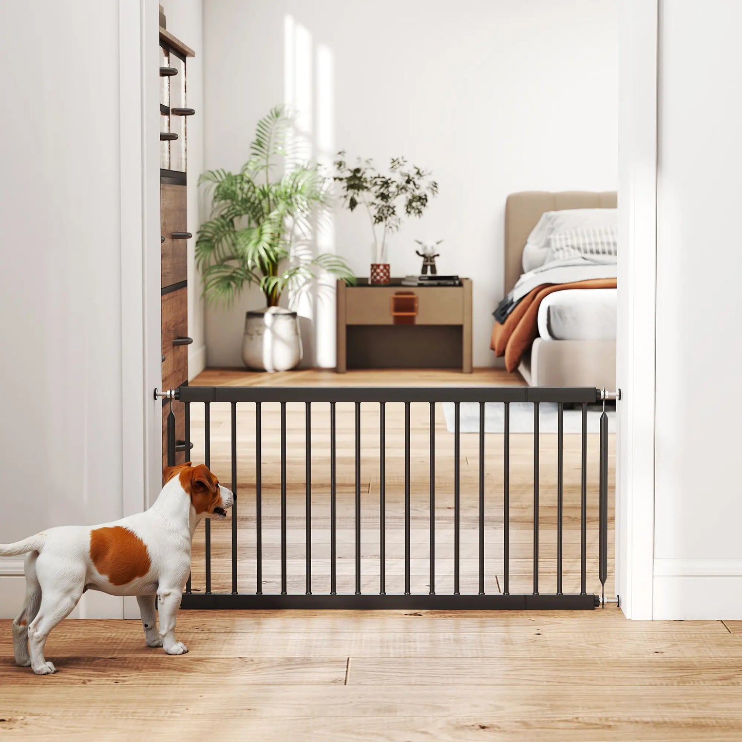 26"-37" Dog Gate, 18" Tall, 2 Extension, Pressure Mount, Black Pet Gates at Gallery Canada