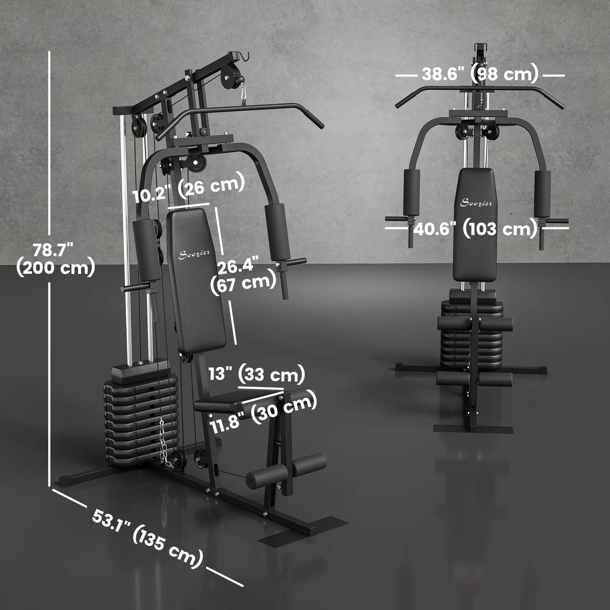 Multifunction Home Gym, 99lbs Weight Stack, Full Body Workout Power Towers at Gallery Canada