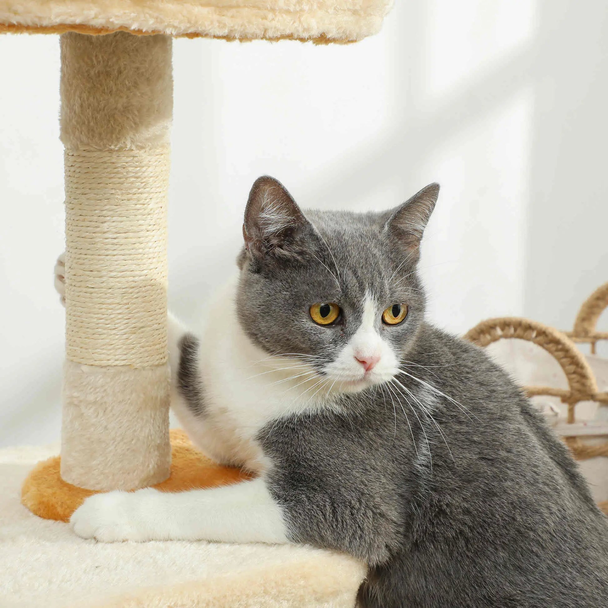 28 Inch Cat Tree Tower with Plush Bed, Condo, Sisal Post, Perch, Dangling Ball, Beige and Yellow Cat Posts at Gallery Canada